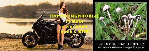 ГАЛЛЮЦИНОГЕННЫЕ ГРИБЫ Алексин
