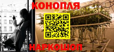хмурый Дубна