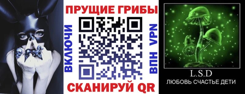 что такое   Вологда  кракен вход  Галлюциногенные грибы ЛСД 