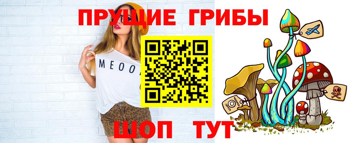 наркота  Вход с VPN  Вологда  Псилоцибиновые грибы MAGIC MUSHROOMS  Псилоцибиновые грибы Cubensis 